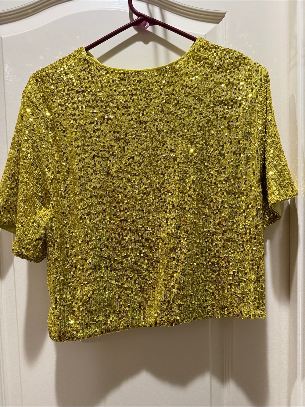 Express NWOT  Gold Sequin Cropped Short-Sleeve Top LARGE - Picture 5 of 5